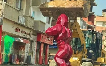 غوريلا حمراء تثير الجدل في البحيرة وتنتهي بالإزالة.. التفاصيل كاملة
