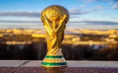 كيفية مشاهدة مباريات نيوزيلندا في كأس العالم 2026 والقنوات الناقلة
