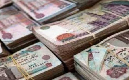 الحد الادنى للاجور في الموازنة الجديدة.. زيادات مرتقبة بالصحة والتعليم