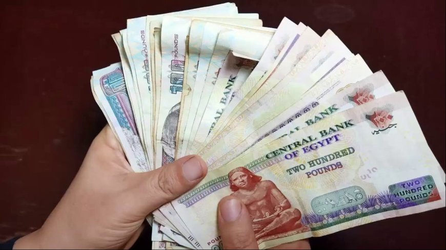طريقة الاستعلام عن معاشات يونيو 2026 وخطوات الصرف بسهولة