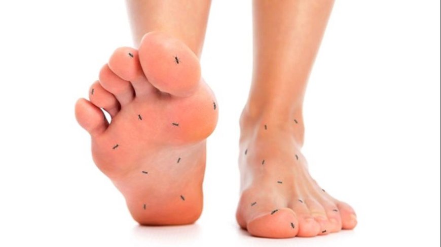 أسباب تنميل القدم.. الأعراض وطرق العلاج والوقاية