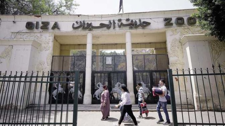 موعد افتتاح حديقة الحيوان بالجيزة 2026 وتفاصيل التطوير الأخير  