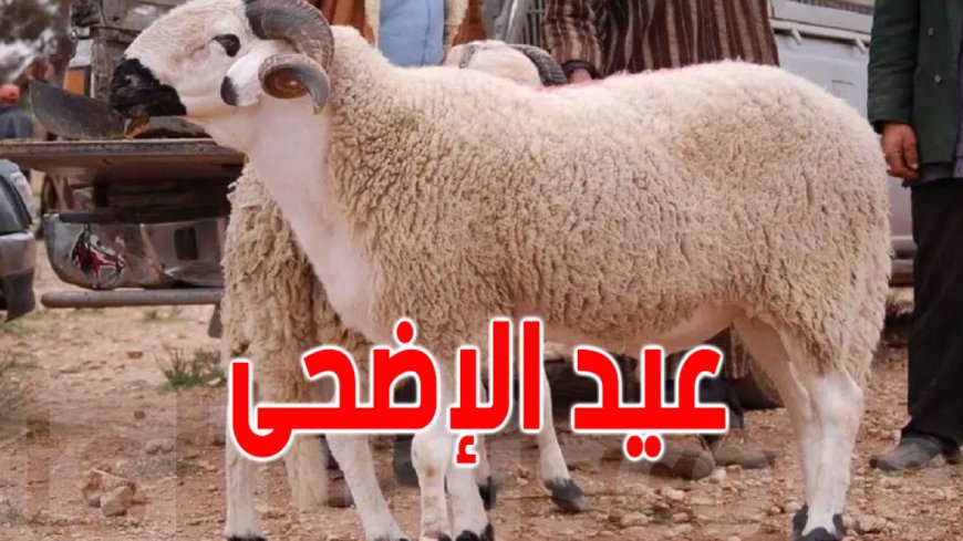 موعد اجازه عيد الاضحى المبارك 2026 في مصر وعدد أيام العطلة الرسمية