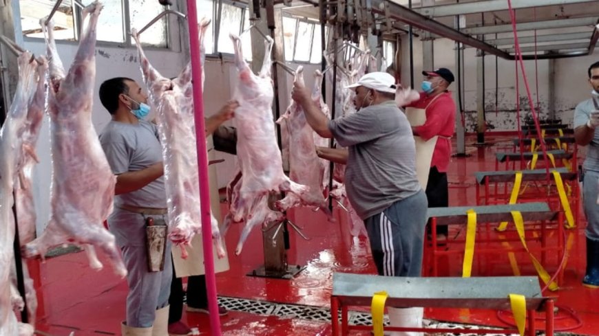 غرامات ذبح الأضاحي في الشارع.. عقوبات صارمة ومجازر مجانية للمواطنين