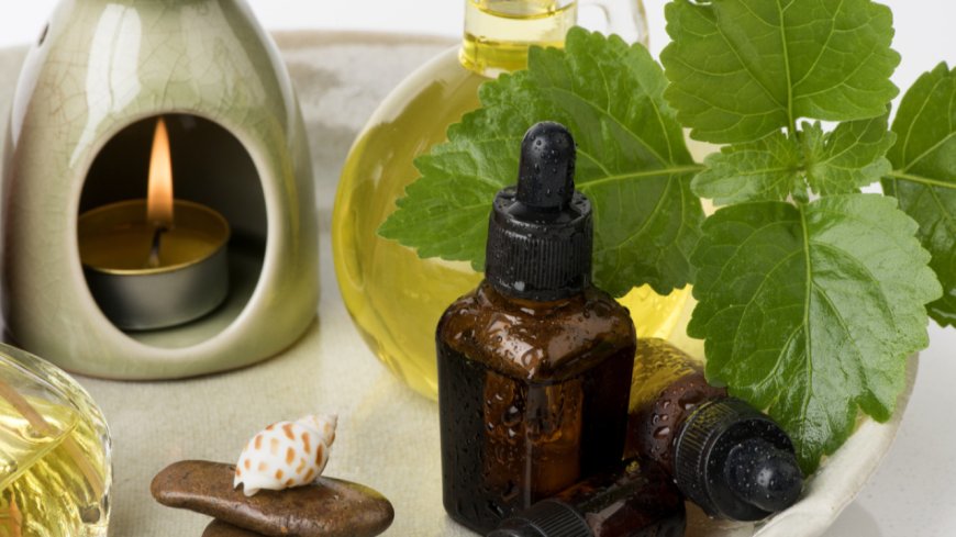 اكتشاف عطر رجالي طارد للناموس بزيت طبيعي يطرد البعوض بفعالية مذهلة