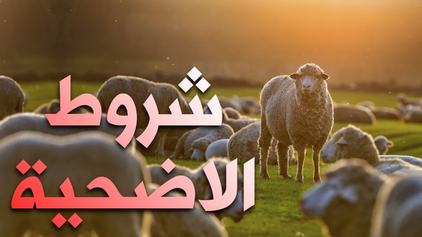 عيوب تبطل الأضحية.. حالات تمنع قبول الذبيحة شرعًا في عيد الأضحى 2026