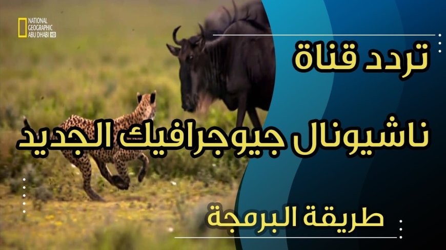 تردد قناة ناشيونال جيوغرافيك 2026.. دليلك لمتابعة أفضل البرامج بجودة عالية