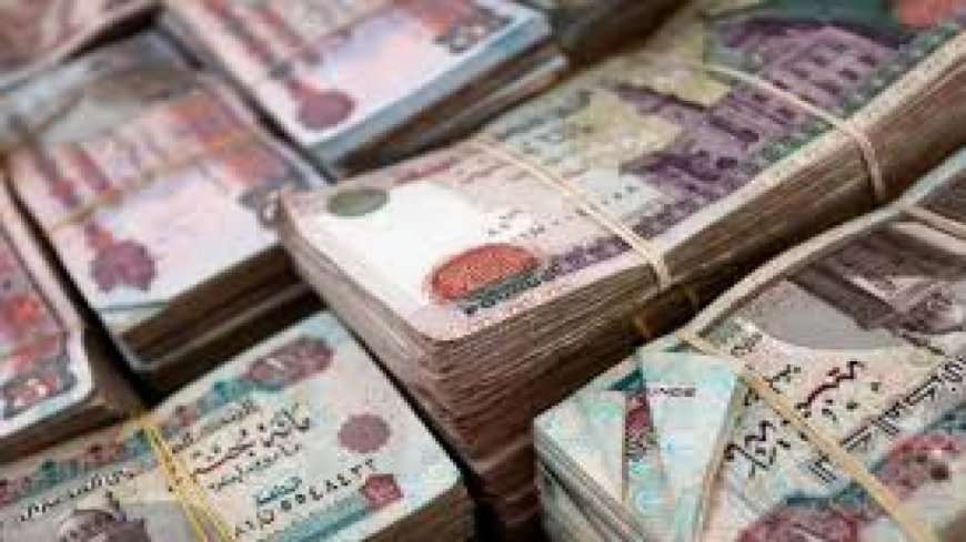 منحة مالية 2026.. الحكومة تقرر صرف 2400 جنيه للعمالة غير المنتظمة