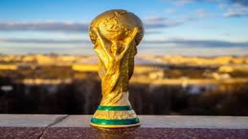 كيفية مشاهدة مباريات نيوزيلندا في كأس العالم 2026 والقنوات الناقلة