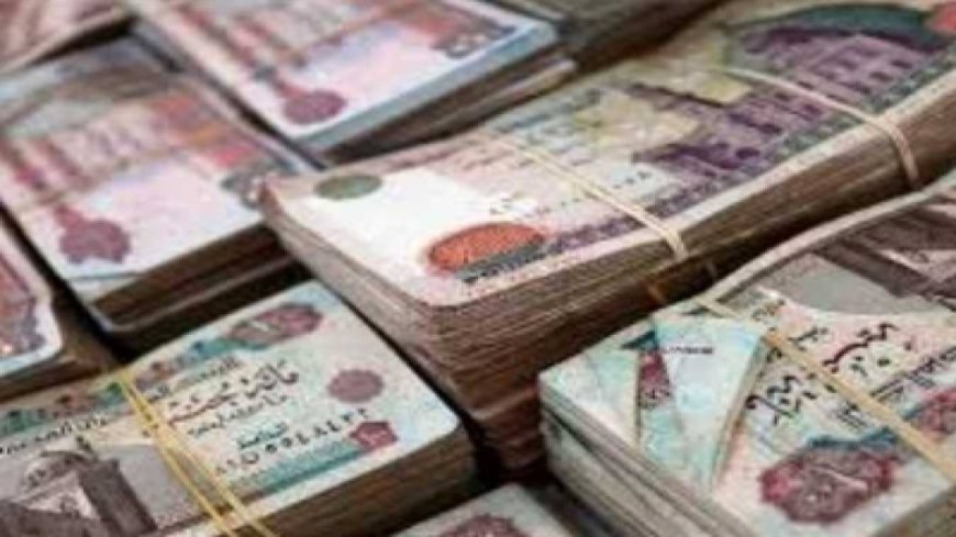 الحد الادنى للاجور في الموازنة الجديدة.. زيادات مرتقبة بالصحة والتعليم