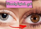 كيفية تكثيف الرموش والحواجب بطرق طبيعية فعالة وآمنة للحصول على مظهر جذاب