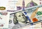 سعر الدولار في مصر اليوم.. آخر تحديث في البنوك