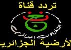 تردد قناة الجزائرية الأرضية 2026 لمتابعة مباراة مصر وبلجيكا في كأس العالم.. اضبطها الآن