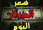سعر الدولار مقابل الجنيه المصري اليوم.. يهبط دون 50 جنيه
