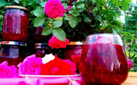 طريقة عمل معطر طبيعي في المنزل بروائح منعشة تدوم طويلاً