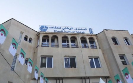 الصندوق الوطني للتقاعد يعلن تجديد الوثائق إلكترونياً عبر تطبيق تقاعدي
