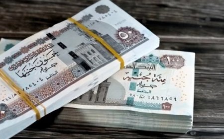 تطبيق زيادة المعاشات 2026.. موعد الصرف والفئات المستفيدة