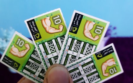 القومي لتنظيم الاتصالات يعلن عن باقات جديدة للإنترنت في مصر بعد الزيادة