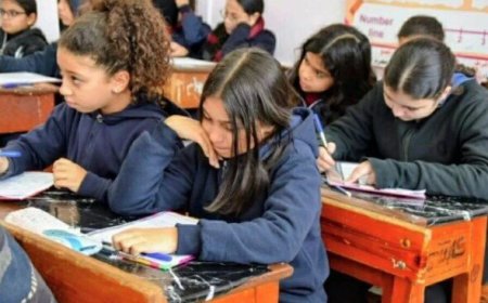 نتيجة صفوف النقل بالجيزة 2026 متاحة الآن بالرقم القومي
