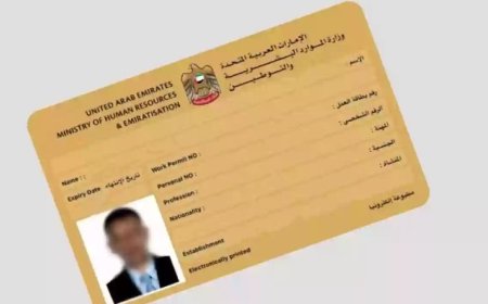 القنوات الرسمية لإصدار تصاريح العمل في الإمارات 2026.. تحول رقمي وتحديث الإجراءات