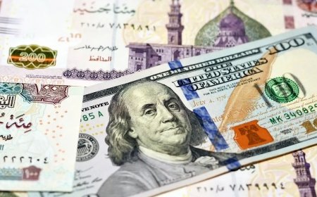 سعر الدولار في مصر اليوم.. آخر تحديث في البنوك