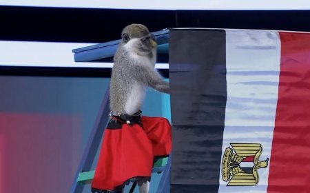 شاهد.. كيف توقعت "النسناسة سوزي" نتيجة مباراة مصر وبلجيكا في برنامج "قبل الماتش"؟