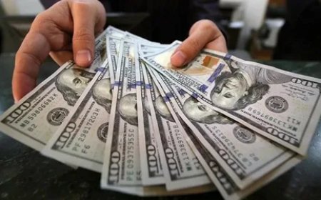 أسعار الدولار اليوم الأربعاء 17 يونيو 2026.. استقرار ملحوظ في البنوك
