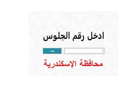نتيجة الشهادة الإعدادية محافظة الإسكندرية برقم الجلوس 2026
