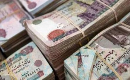 تعويض البطالة 2026.. الشروط ونسب الصرف ومدة الاستحقاق