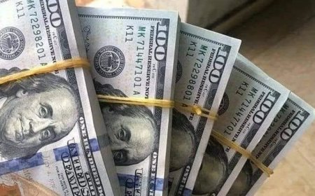 أسعار الدولار اليوم الخميس 18 يونيو 2026.. هل تحرك في البنوك؟