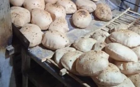 سعر رغيف الخبز المدعم في منظومة الدعم النقدي الجديدة