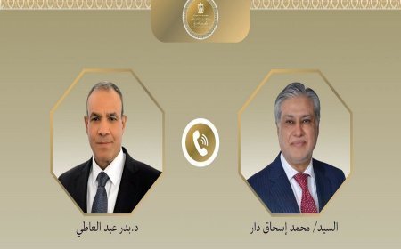 مصر وباكستان تؤكدان أهمية تنفيذ التفاهم الأمريكي الإيراني
