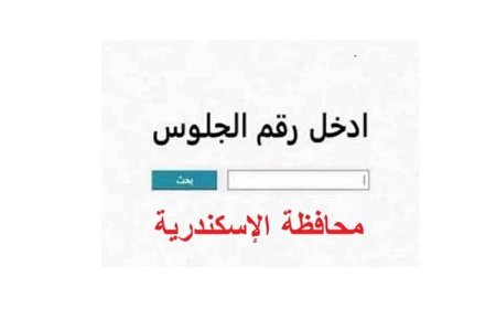 نتيجه الشهاده الاعداديه محافظه الاسكندريه 2026 برقم الجلوس 
