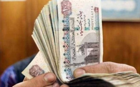 شروط الحصول على معاش ربات البيوت 2026.. والأوراق المطلوبة