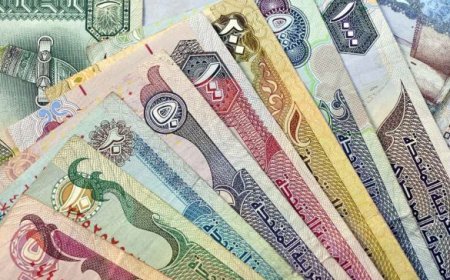 سعر الدرهم الاماراتي اليوم.. مستقر بالبنوك المصرية