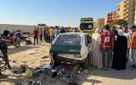 شاهدة على المأساة.. أول تعليق لصديقة ضحية حادث الأهرام