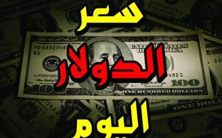 سعر الدولار مقابل الجنيه المصري اليوم.. يهبط دون 50 جنيه