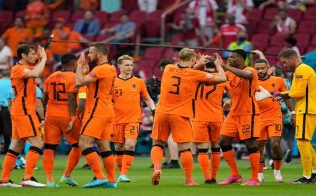 كيفية مشاهدة مباراة هولندا ضد السويد في كأس العالم 2026.. القنوات الناقلة