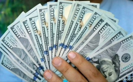 كم سعر الدولار اليوم؟.. أحدث أسعار البنوك في مصر