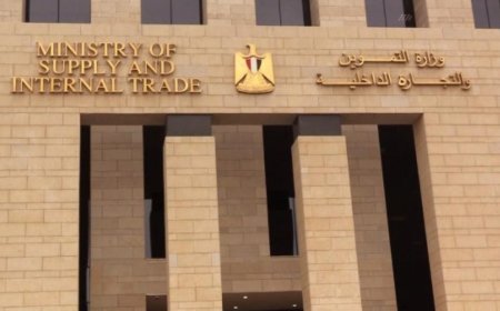 توسع جديد في خدمات السجل التجاري عبر البريد المصري