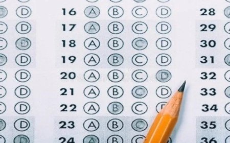 حل امتحان الوطنية 2026.. أبرز الاجابات لطلاب الثانوية العامة