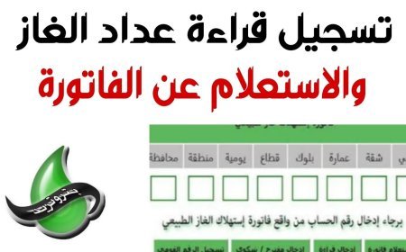 تسجيل قراءة عداد الغاز بتروتريد 2026 شهر يونيو
