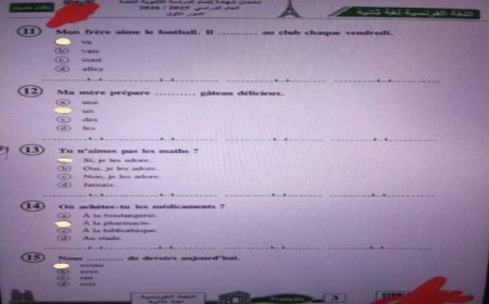 امتحان فرنساوي تالته ثانوي 2026.. مفاجآت صعبة للطلاب