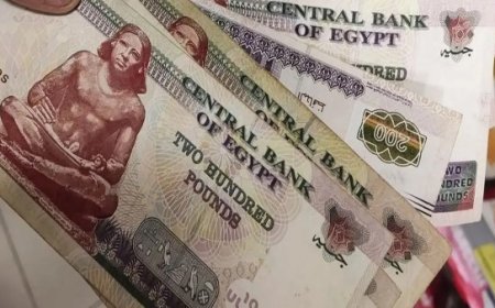 بقرار رئاسي.. تفاصيل  زيادة المعاشات 2026
