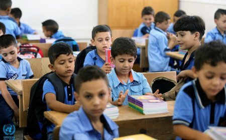 التعليم تعلن مصروفات المدارس الحكومية 2026/2027 رسمياً
