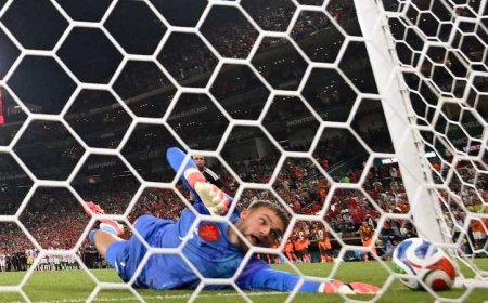 اهداف المغرب وهولندا.. أسود الأطلس يعبرون إلى دور الـ16
