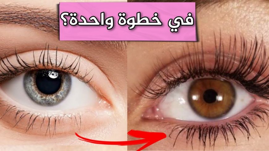 كيفية تكثيف الرموش والحواجب بطرق طبيعية فعالة وآمنة للحصول على مظهر جذاب