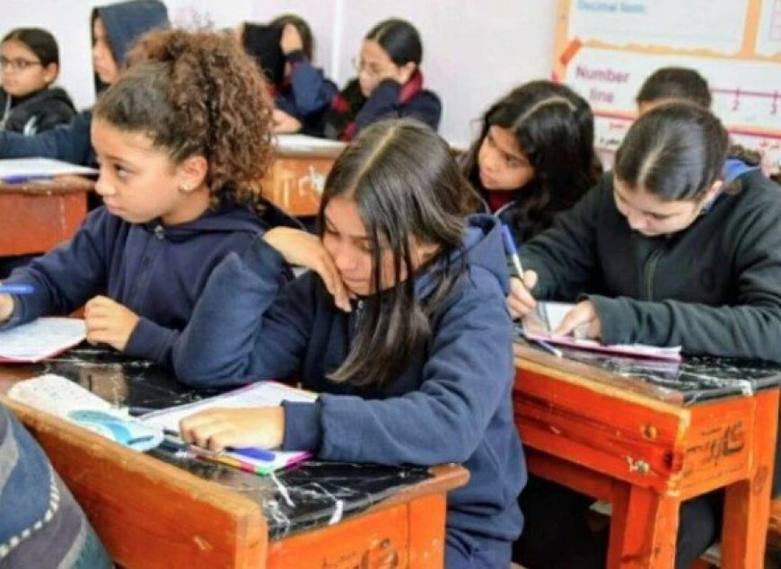 نتيجة صفوف النقل بالجيزة 2026 متاحة الآن بالرقم القومي