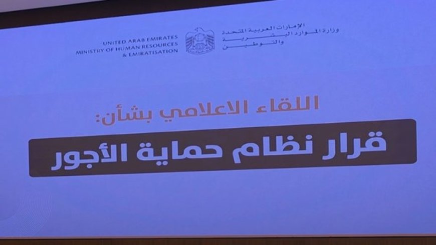 كل ما تريد معرفته عن نظام حماية الأجور في سوق العمل الإماراتي