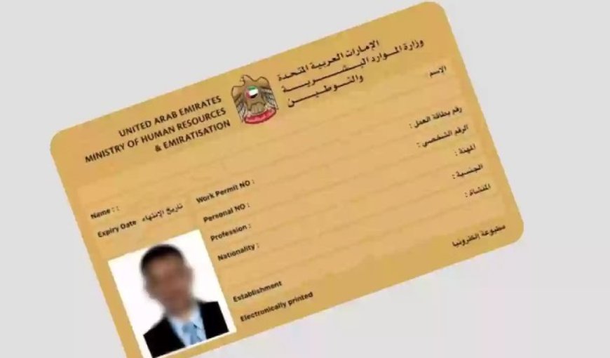 القنوات الرسمية لإصدار تصاريح العمل في الإمارات 2026.. تحول رقمي وتحديث الإجراءات